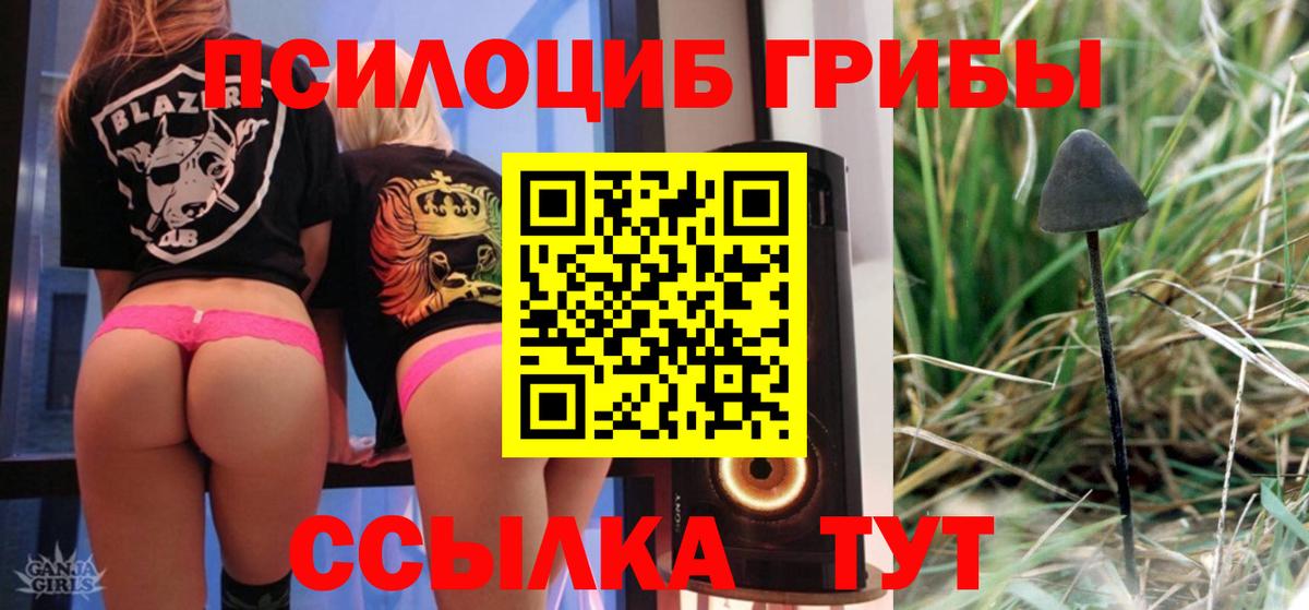 Прокопьевск  Псилоцибиновые грибы Psilocybe  Псилоцибиновые грибы Cubensis  Вход с VPN 